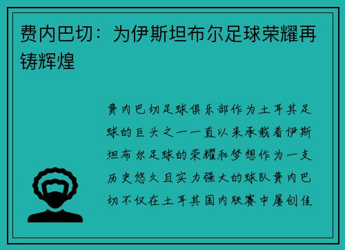 费内巴切：为伊斯坦布尔足球荣耀再铸辉煌